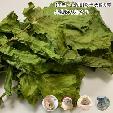 小動物のおやつ 国産 無添加 乾燥 大根の葉 5g 乾燥野菜 だいこん 葉 無着色 ドライベジタブル 小動物 うさぎ ハムスター【DBP】