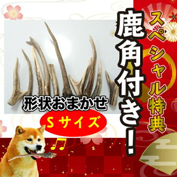 愛犬用 2019 おせち 国産 無添加 手作り 厳選9種【鹿角1本付き】20食限定 お節 御節 犬 おやつ クール便 送料無料【DBP】