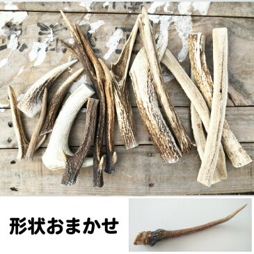 メール便 送料無料【形状おまかせ】国産 天然 鹿の角 犬(丹波鹿) 1本 サイズ:S (約10cm〜15cm) 犬 鹿角【DBP】