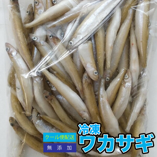 【2袋セット】冷凍餌 冷凍ワカサギ 【約1kg 約500g 2P 】 約8cm前後 わかさぎ 大型魚のエサ 別途クール便送料【クール便配送】爬虫類 両生類【DBP】