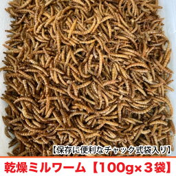 乾燥ミルワーム　【100g×3袋】　ミルワーム　嗜好性の高い高たんぱくフード　ハムスター フクロモモンガ ハリネズミ リス 爬虫類 アロワナ等　野鳥【DBP】