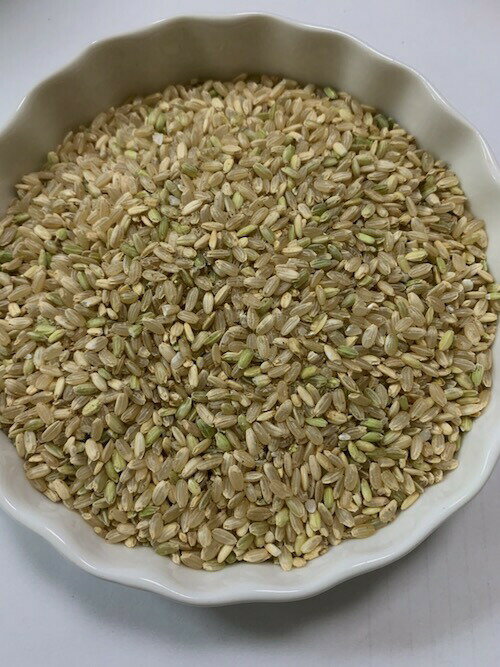 くず米 300g くずまい　米粒　近畿産(大阪・和歌山) 小鳥 インコ 四十雀 オウム 餌 鳩のえさ エサ 小袋 粒 ペット 小動物 えさ 餌 エサ 鳥 鳩 ハト はと 鳩の餌