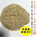 ミルワーム コオロギの餌 【お試し50g】コオロギフード ミルワーム 幼虫 飼育 オリジナルブレンド メール便送料無料【DBP】