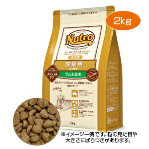 ※おまけ付き※【PET】【正規品】ニュートロ ナチュラルチョイス 減量用 全犬種用 成犬用 ラム&玄米 2kg JAN:4562358786853【T】【Z】