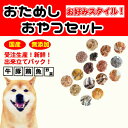 <送料無料>犬 おやつ 無添加 手作りおやつ 国産 お試し選べる3種セット おやつ ドッグフード<メール便配送>【DBP】