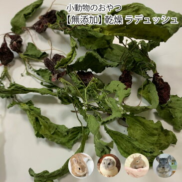 小動物のおやつ 国産 無添加 乾燥 ラディッシュ 5g 乾燥野菜 無着色 ドライベジタブル 小動物 うさぎ ハムスター メール便送料無料【DBP】
