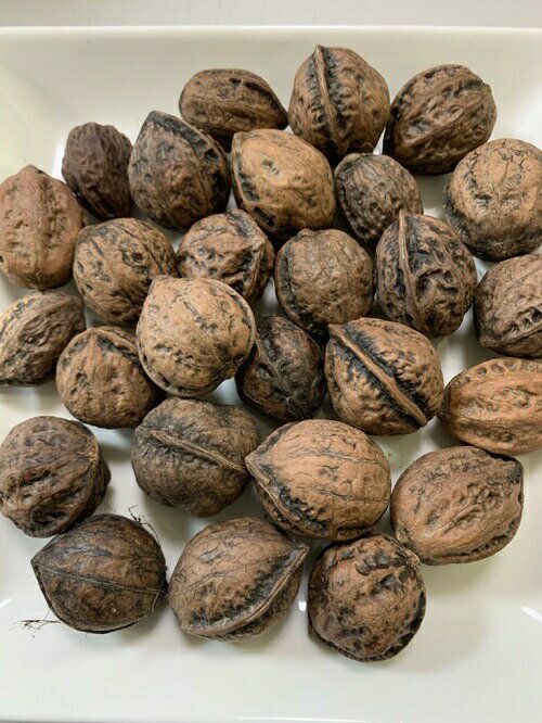 小動物・小鳥用　殻付き 国産 和くるみ（天然）【400g(約50個前後)】 信州産　クルミ 殻付き 小動物の..