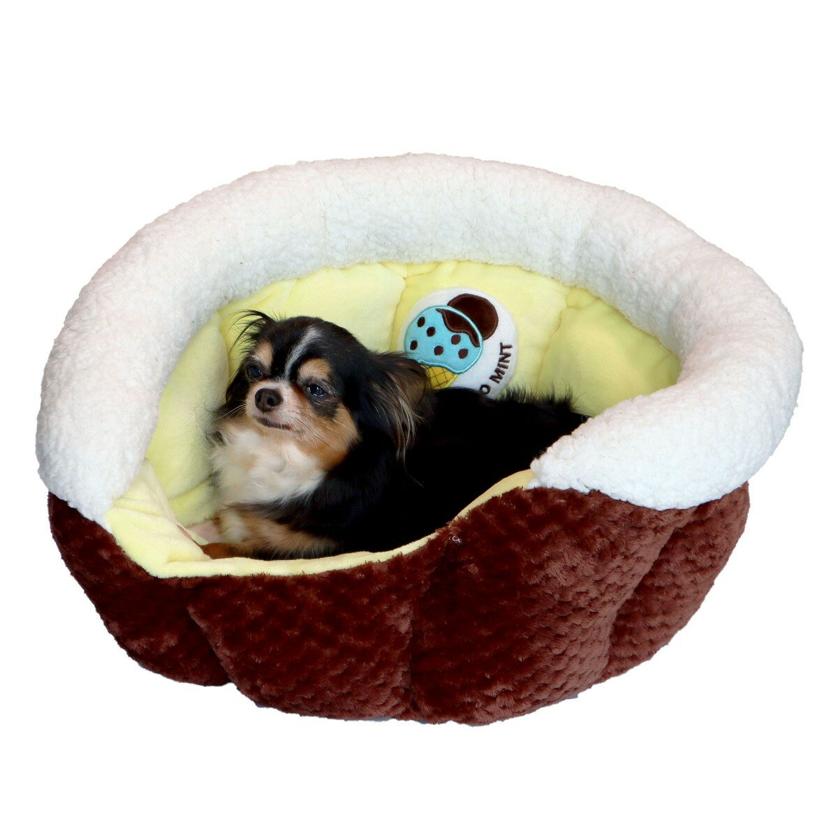 �ڥåĥ롼�� ���� �̼¤Υ����2019 ���祳�ߥ�ȡ�T������̵��