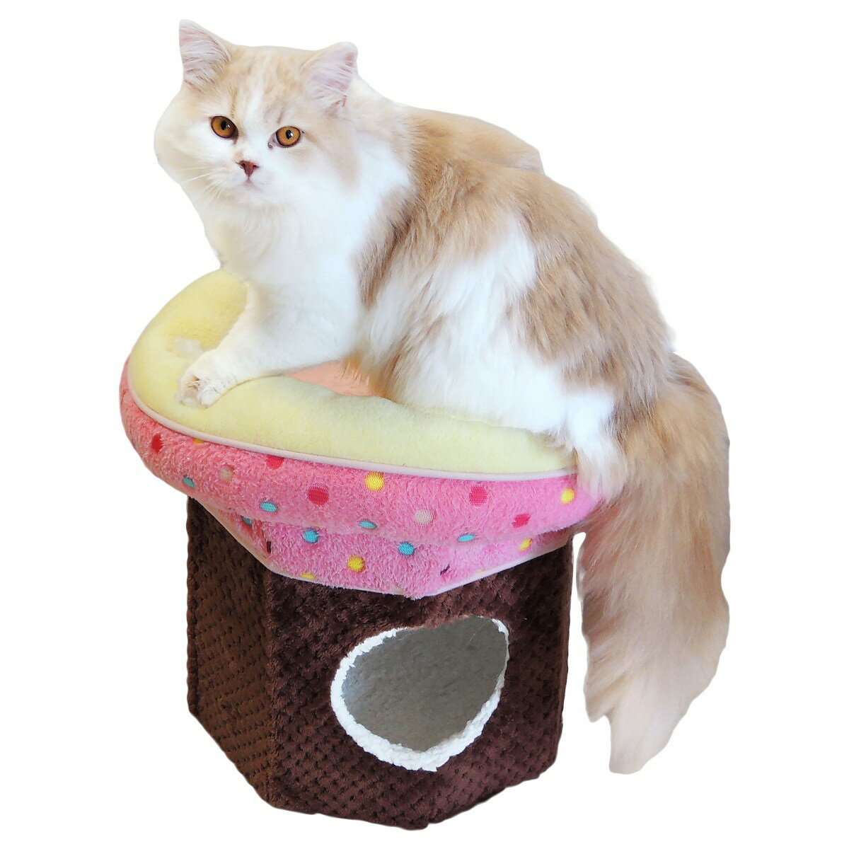 �ڥåĥ롼�� ǭ�� �˥��Ȥ�ˤ�󳬤��� �������ޡ��֥��T������̵��