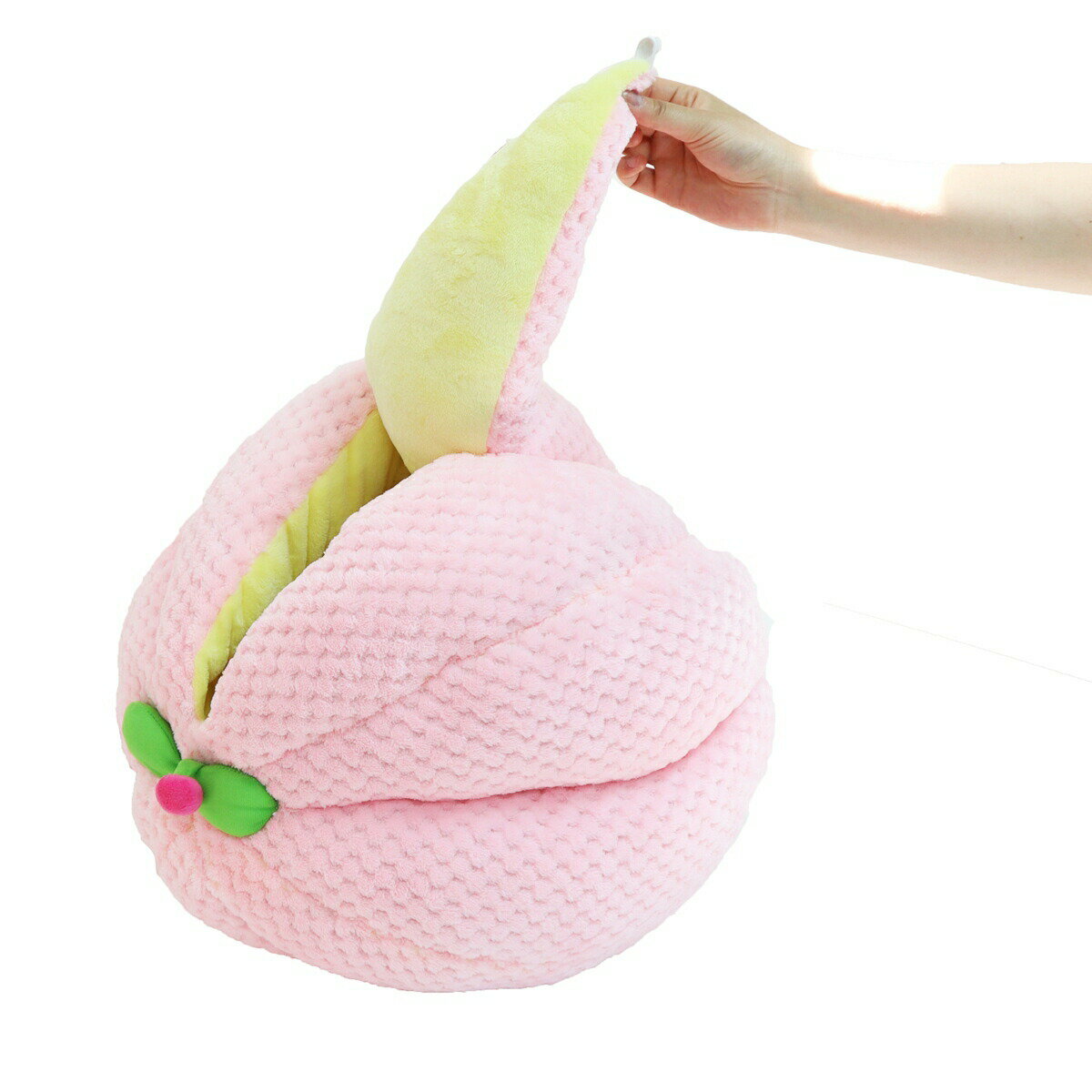 �ڥåĥ롼�� ǭ�� �˥��Ȥ�⤰���2019 �������ܡ�T������̵��