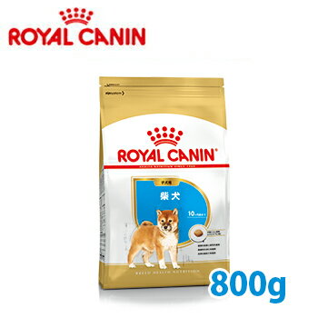 ロイヤルカナン　BREED　柴犬　子犬用　800g【ロイヤルカナン（ROYAL CANIN）/ドライフード/子犬用（パピー）・柴犬専用/ペットフード/DOG FOOD/ドッグフード】【39ショップ】