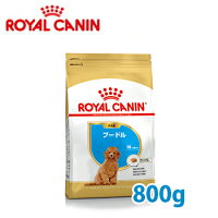 ロイヤルカナン　BREED　プードル 子犬用　(生後10ヵ月齢まで) 800g　【ロイヤルカナン（ROYAL CANIN）/ドライフード/プードル専用・トイプ−ドル/ペットフード/DOG FOOD/ドックフード】【ペットウィル】