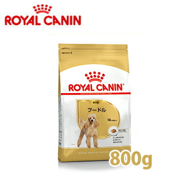 ロイヤルカナン BREED プードル 成犬用 (生後10ヵ月齢以上) 800g 【ロイヤルカナン（ROYAL CANIN）/ドライフード/プードル専用 トイプ－ドル/ペットフード/DOG FOOD/ドッグフード】【ペットウィル】