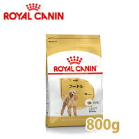 ロイヤルカナン　BREED　プードル 成犬用　(生後10ヵ月齢以上) 800g　【ロイヤルカナン（ROYAL CANIN）/ドライフード/プードル専用・トイプ−ドル/ペットフード/DOG FOOD/ドッグフード】【ペットウィル】