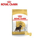 CJi@BREED@~j`A ViEU[ Ep@(10ȏ) 3kg@yCJiiROYAL CANINj/hCt[h/~j`AViEU[p/ybgt[h/DOG FOOD/hbOt[hz