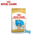 ロイヤルカナン BREED ラブラドールレトリバー 子犬用(生後15ヵ月齢まで) 3kg 【ロイヤルカナン（ROYAL CANIN）/ドライフード/子犬用（パピー） ラブ専用/ペットフード/DOG FOOD/ドッグフード】