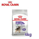 CJiiROYALCANINj~j XeACYh iDEpj10ȏ@4kg