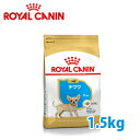 ロイヤルカナン BREED チワワ 子犬用(生後8ヵ月齢まで) 1.5kg【ロイヤルカナン（ROYAL CANIN）/ドライフード/子犬用（パピー） チワワ専用/ペットフード/DOG FOOD/ドッグフード】