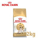 ロイヤルカナン　フィーラインブリードニュートリション 　シャム 成猫用 2kg　　【キャットフード・ドライフード・ROYALCANIN・正規品】【39ショップ】