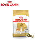 ロイヤルカナン BREED 柴犬 成犬用 8kg【ロイヤルカナン（ROYAL CANIN）/ドライフード/成犬用（アダルト） 柴犬専用/ペットフード/DOG FOOD/ドッグフード】【39ショップ】