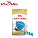 ロイヤルカナン BREED ミニチュア シュナウザー 子犬用(生後10ヵ月齢まで) 1.5kg【ロイヤルカナン（ROYAL CANIN）/ドライフード/子犬用（パピー） ミニチュアシュナウザー専用/ペットフード/DOG FOOD/ドッグフード】【39ショップ】