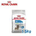 CJiiROYALCANINjGNXgX[ Cg EFCg PA iʂpj1.5kg