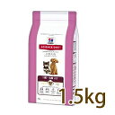 サイエンスダイエット アダルト 小型犬用 成犬用 1.5kg 【ドライフード/成犬用（アダルト）/SCIENCE DIET/ペットフード/DOG FOOD/ドックフード】【39ショップ】