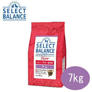 セレクトバランスパピーラム小粒7k...