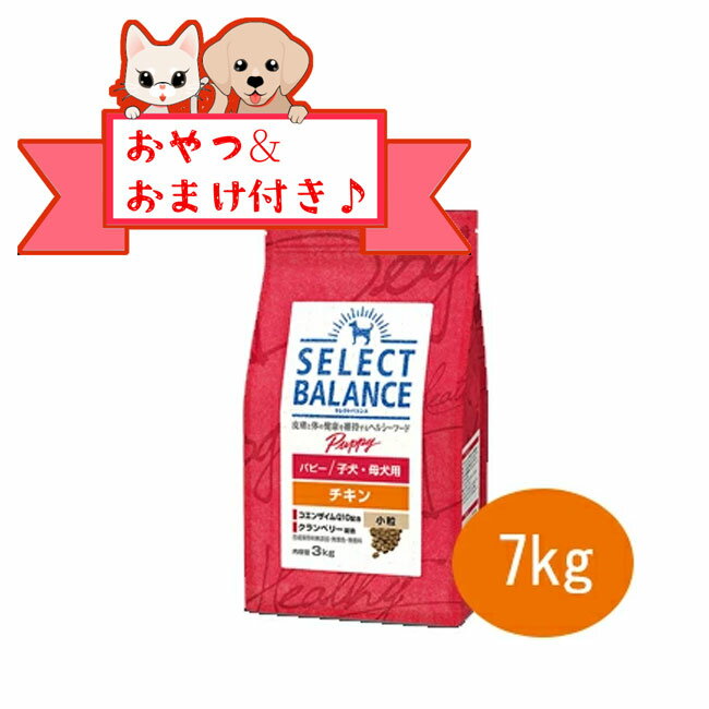 Domestic - ★マラソン限定クーポン★【おまけとおやつ付】セレクトバランス　パピー　チキン　小粒 7kg　子犬・母犬用　ドッグフード プレミアムフード 小型犬用 中型犬用 成長期 無添加 栄養バランス 健康サポート セレクトバランスチキン 正規品