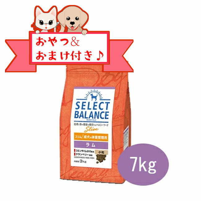 ☆数量限定10％OFFクーポン☆【おまけとおやつ付】セレクトバランス　アダルト　スリムラム　小粒 7kg　成犬の体重管理用　避妊・去勢手術後の太りやすい体質の成犬用　低脂肪 ドッグフード プレミアムフード 去勢犬 ダイエット ラム 肥満犬用 小型犬用 総合栄養食 正規品