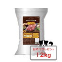 【最大2000円クーポン】【おまけ対象商品】SOLVIDA ソルビダ グレインフリー ターキー 室内飼育全年齢対応 12kg【オーガニック/ドライフード/ペット...