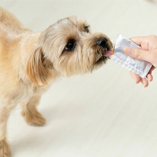 ★18日は市場の日P4倍★ドットわん牛骨スープ　150g（10g×15包）【ドッグフード・子犬・成犬・老犬・全成長段階・オールライフステージ・ドライフード・ペットフード・天然素材・トッピング・スープ・ご褒美】 petwill30-10006223 ペット用品のペットウィル サンプル画像3