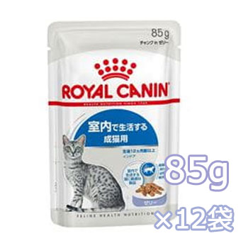 륫ʥ󡡥ɥ ꡼85g12ޡڥåȥա/åȥաɡѥ/ǭѡʥȡ/ROYAL CANIN/ڥåȥաɡۡǭʡǭʤͤͥ/ڥåʡڥåȥåۡ39åס