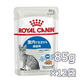 륫ʥ󡡥ɥ ա85g12ޡڥåȥա/åȥաɡѥ/ǭѡʥȡ/ROYAL CANIN/ڥåȥաɡۡǭʡǭʤͤͥ/ڥåʡڥåȥåۡ39åס