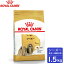 ֥륫ʥBREED ѡ(10ʾ) 1.5kgڥ륫ʥROYAL CANIN/ɥ饤ա/ѡʥȡˡѡʥ˥ˡ/ڥåȥա/DOG FOOD/ɥåաɡۡפ򸫤