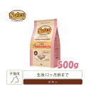 ナチュラルチョイス　室内猫用　キトン　チキン　500g　【キャットフード/ドライフード/子猫用（キトン・幼猫）/Nutro/ペットフード】【猫用品・猫（ねこ・ネコ）/ペット用品・ペットグッズ】【39ショップ】