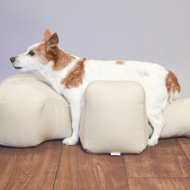 ★マラソン限定クーポン配布中★OneAid　リラクッションブラウン＋カバー　サイズS【ビーズクッション/ペット用品/犬用品/クッション/姿勢サポート】 2