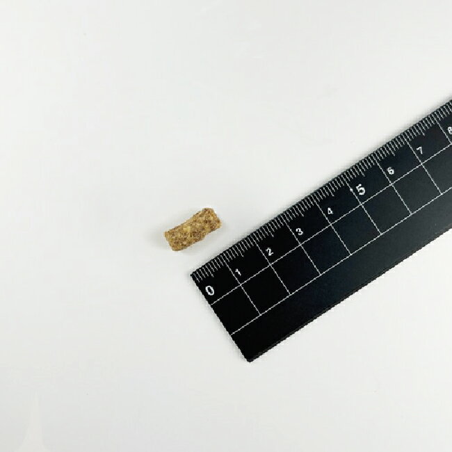 サンプル画像3