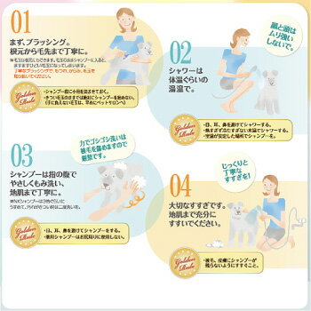 ���ޥ饽����̸���10��OFF����ե��󥷡������֥�å��奢�åץ���ǥ�����ʡ��������ѡ�2000ml�ڸ����ʡ��ڥå����ʡ��ڥåȥ��å�/�������̡����̡��Ҹ��ۡڥ��롼�ߥ󥰥��ץ졼���ž夲�ޡ��դ�դ�ܥ�塼�ࡦ�����������ʡ��������ʡ�