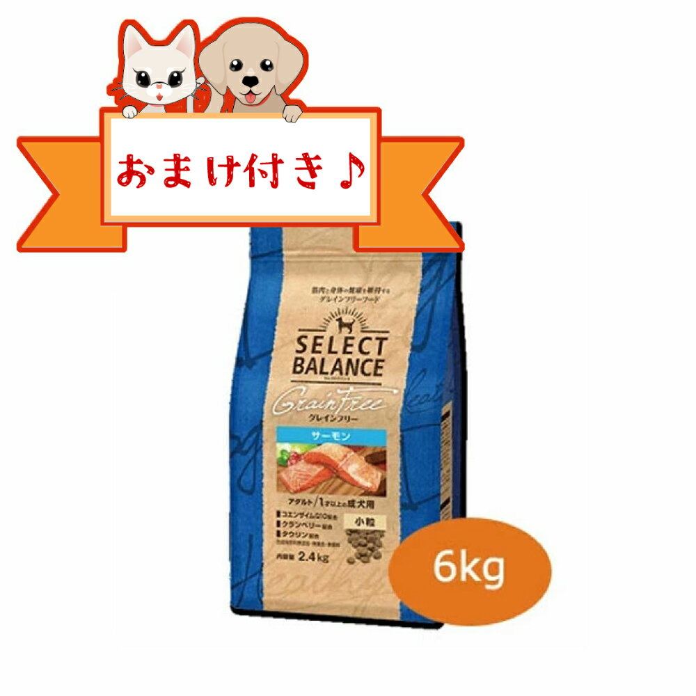 ★SS限定クーポン配布中★【おまけ付】セレクトバランス　グレインフリー アダルト サーモン　小粒 6kg　1才以上の成犬用　ドッグフード 穀物不使用 国産 小型犬用 中型犬用 低アレルゲン プレミアムフード セレクトバランスサーモン 正規品