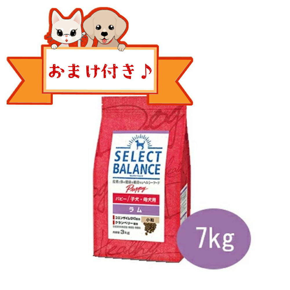Rakuten - 【おまけ付】セレクトバランス　パピー　ラム　小粒 7kg　子犬・母犬用　ドッグフード プレミアムフード 小型犬用 中型犬用 成長期 栄養バランス 無添加 健康維持 サポート セレクトバランスラム 正規品