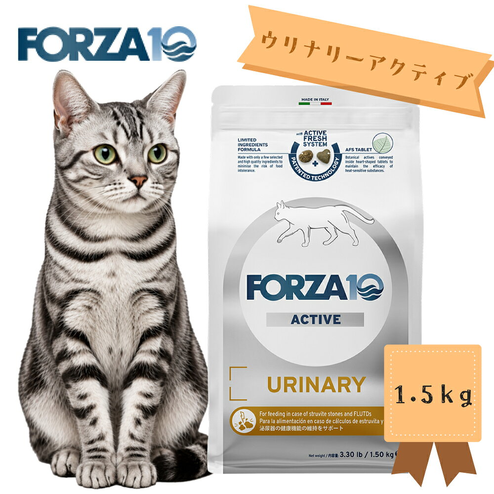 ★マラソン限定クーポン★FORZA...