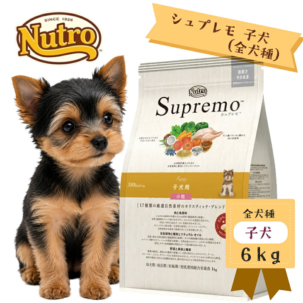 楽天市場】シュプレモ 子犬用 6キロ（ペット・ペットグッズ）の通販
