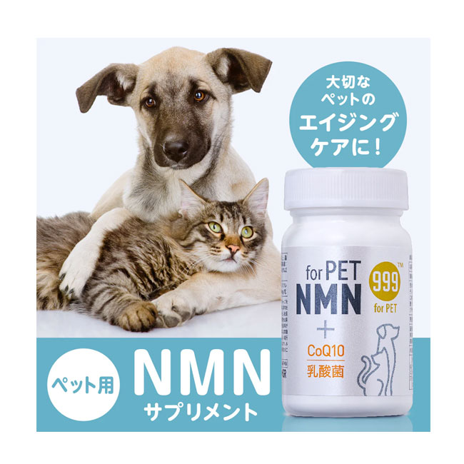 ★SS限定SALE★999　for　PET　NMN　60粒　ペット用サプリメント　ペット用品 petwill30-10014567 ペット用品のペットウィル サンプル画像2