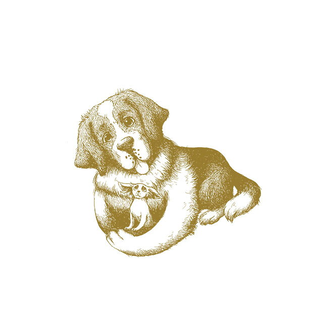 テラカニス ハーバルヒーローズ ブレイブハート 犬用 サプリメント ハーブ