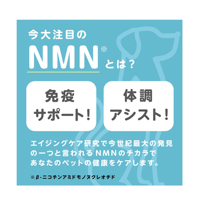 ★SS限定SALE★999　for　PET　NMN　60粒　ペット用サプリメント　ペット用品 petwill30-10014567 ペット用品のペットウィル サンプル画像3