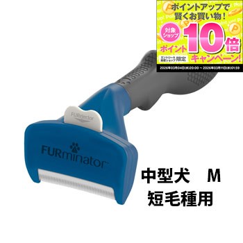 �����ָ��ꥨ��ȥ꡼��P10�ܡ����ե����ߥ͡��������淿��M��û�Ӽ��ѡ�ȴ����,����,�������������,��������,����å���,�֥饷,�֥�å���,���롼�ߥ�,...