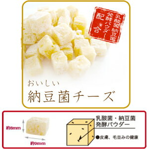 【メール便可】ドクターズチョイス　おいしい納豆菌チーズ（キューブ型）【犬用おやつ・納豆・チーズ・ペット用品・ペットグッズ・おやつ・フン・尿臭カット】【RCP】【02P24Oct15】