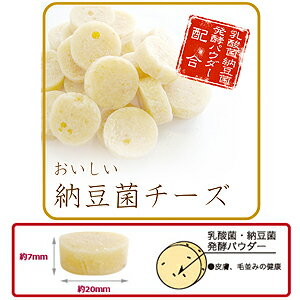 【メール便可】ドクターズチョイス　おいしい納豆菌チーズ（丸型）【犬用おやつ・納豆・チーズ・ペット用品・ペットグッズ・おやつ・フン・尿臭カット】【RCP】【02P24Oct15】