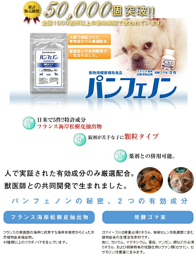 激安特価 ポイント10倍 スケアクロウ パンフェノン 顆粒 30包 動物用健康補助食品 犬用サプリメント 猫用サプリメント 健康維持 粉末 ふりかけ 39ショップ 格安 Lgbthistorymonth Com